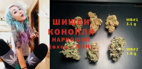 амф Арсеньев